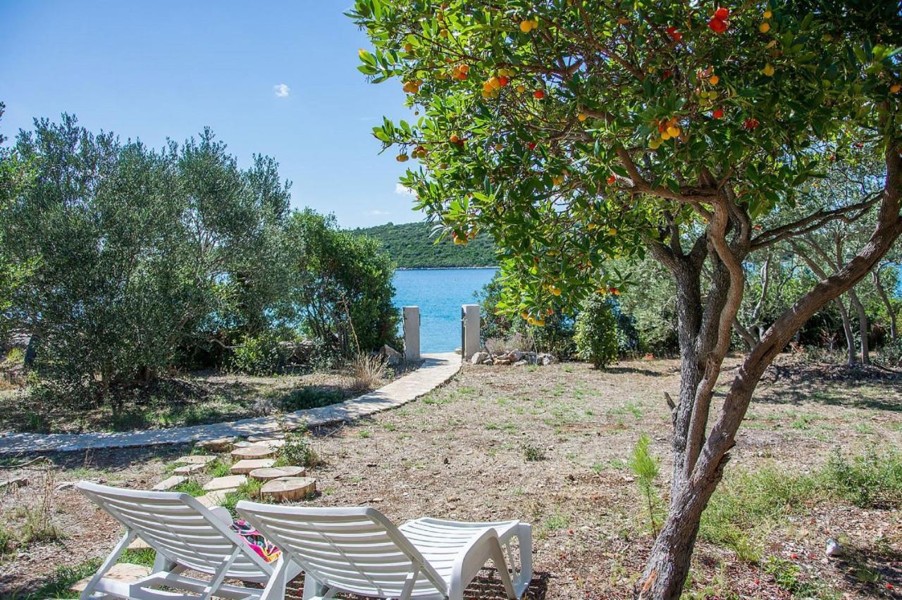 House Divna Kraj (Zadar) Exterior foto